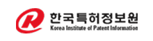 한국특허정보원