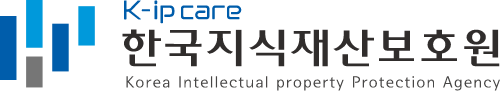 한국지식재산보호원 국문 CI